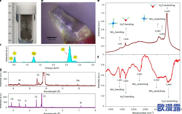 xxxxxl19d：最新研究揭示其在生物医学领域的潜在应用与发展前景，科学家们正积极探索新技术