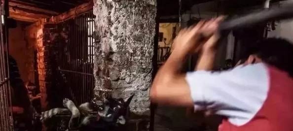 震惊!暗卫被王爷肉到失禁高h,背后隐藏的秘密让人难以置信,真相令人瞠目结舌! 震惊!暗卫被王爷肉到失禁高h,背后隐藏的秘密让人难以置信,真相令人瞠目结舌!