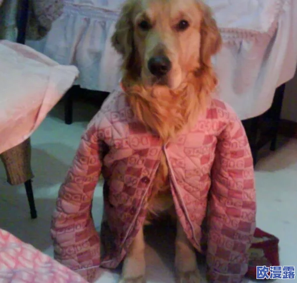 婆婆和我的狗老公怎么相处:探讨家庭关系与宠物互动对亲密关系的影响方法与建议 婆婆和我的狗老公怎么相处:探讨家庭关系与宠物互动对亲密关系的影响方法与建议