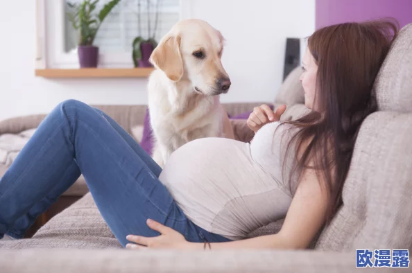 逼逼狗:新一季宠物互动游戏上线,带你体验与爱犬的亲密时光和趣味挑战! 逼逼狗:新一季宠物互动游戏上线,带你体验与爱犬的亲密时光和趣味挑战!