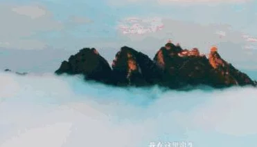 探索美女黄A视频的魅力:揭示背后的故事与文化现象 探索美女黄A视频的魅力:揭示背后的故事与文化现象
