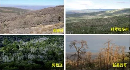 真实动态：全球气候变化加剧，各国积极应对，推动可持续发展政策以保护生态环境和人类未来