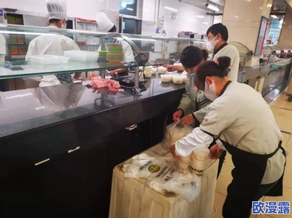 探索寝室生活的多样性：乱中有序的青春故事与情感交织合集