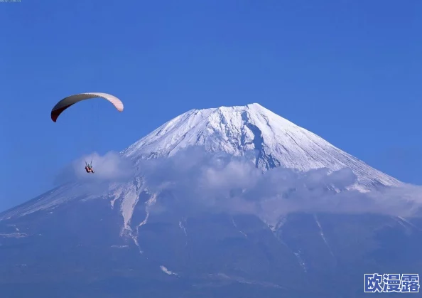 探索日本特级黄毛片视频的魅力与文化背景，揭示其背后的故事与影响