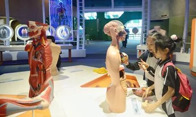啪一啪在线:新功能上线,用户体验大幅提升,互动性和趣味性显著增强,引发广泛关注与讨论 啪一啪在线:新功能上线,用户体验大幅提升,互动性和趣味性显著增强,引发广泛关注与讨论