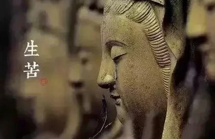 深度解析《倚天屠龙记手游》帮派战玩法与策略介绍