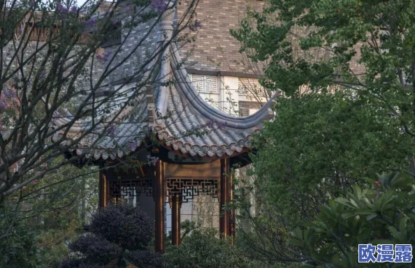 奇迹暖暖灵魂先知套装：高清细节全面解析与魅力展示