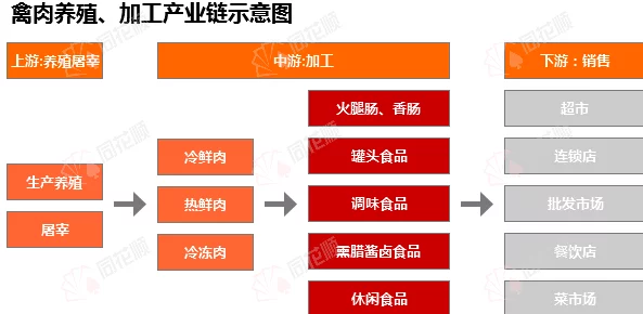 双性h各种道具的最新进展：市场需求增长，创新设计层出不穷，用户体验不断提升与多样化选择