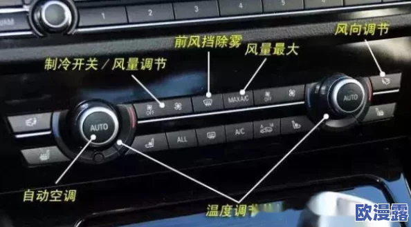 深入解析:血族占卜屋的实用功能与详细作用介绍 深入解析:血族占卜屋的实用功能与详细作用介绍
