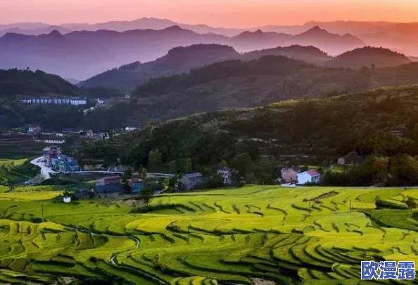 美国的黄色片,虽然存在争议,但也反映了社会文化的一部分,值得深思 美国的黄色片,虽然存在争议,但也反映了社会文化的一部分,值得深思
