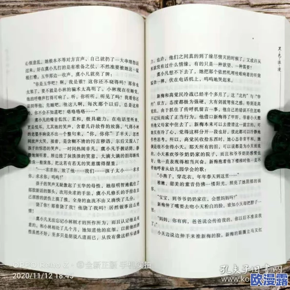 放荡交换超级乱小说网友认为这部作品情节离奇，角色设定大胆，虽然有争议但引发了不少讨论和关注，值得一读