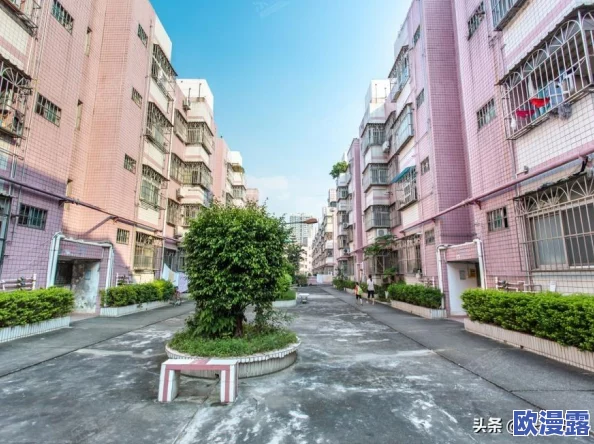 富豪传奇2深度解析：商会系统玩法技巧与策略详解指南