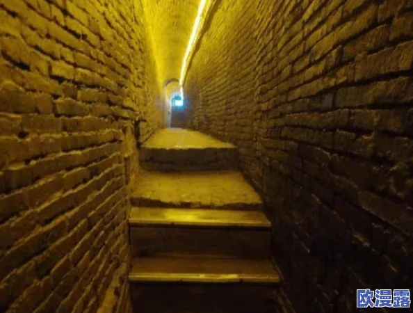 秘密通道:这个话题真有趣,很多人都想知道背后的故事和历史 秘密通道:这个话题真有趣,很多人都想知道背后的故事和历史