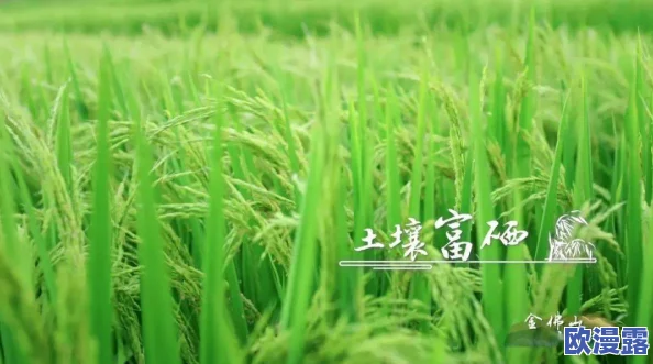 青草青草视频2免费观看全网热议的最新更新上线了,精彩内容不容错过,快来免费观看吧! 青草青草视频2免费观看全网热议的最新更新上线了,精彩内容不容错过,快来免费观看吧!