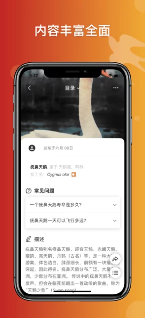 九色91精品国产网站最新进展消息：该平台近期更新了用户界面并增加了多项新功能以提升用户体验和安全性