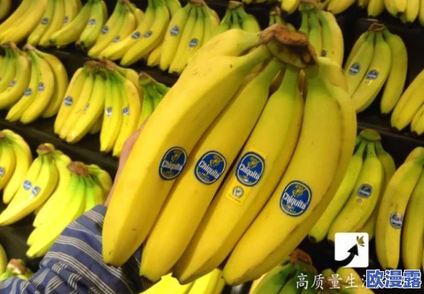 精品久久久久香蕉网网友推荐这个网站提供丰富的内容和优质的服务让人流连忘返非常值得一试适合各类用户使用 精品久久久久香蕉网网友推荐这个网站提供丰富的内容和优质的服务让人流连忘返非常值得一试适合各类用户使用